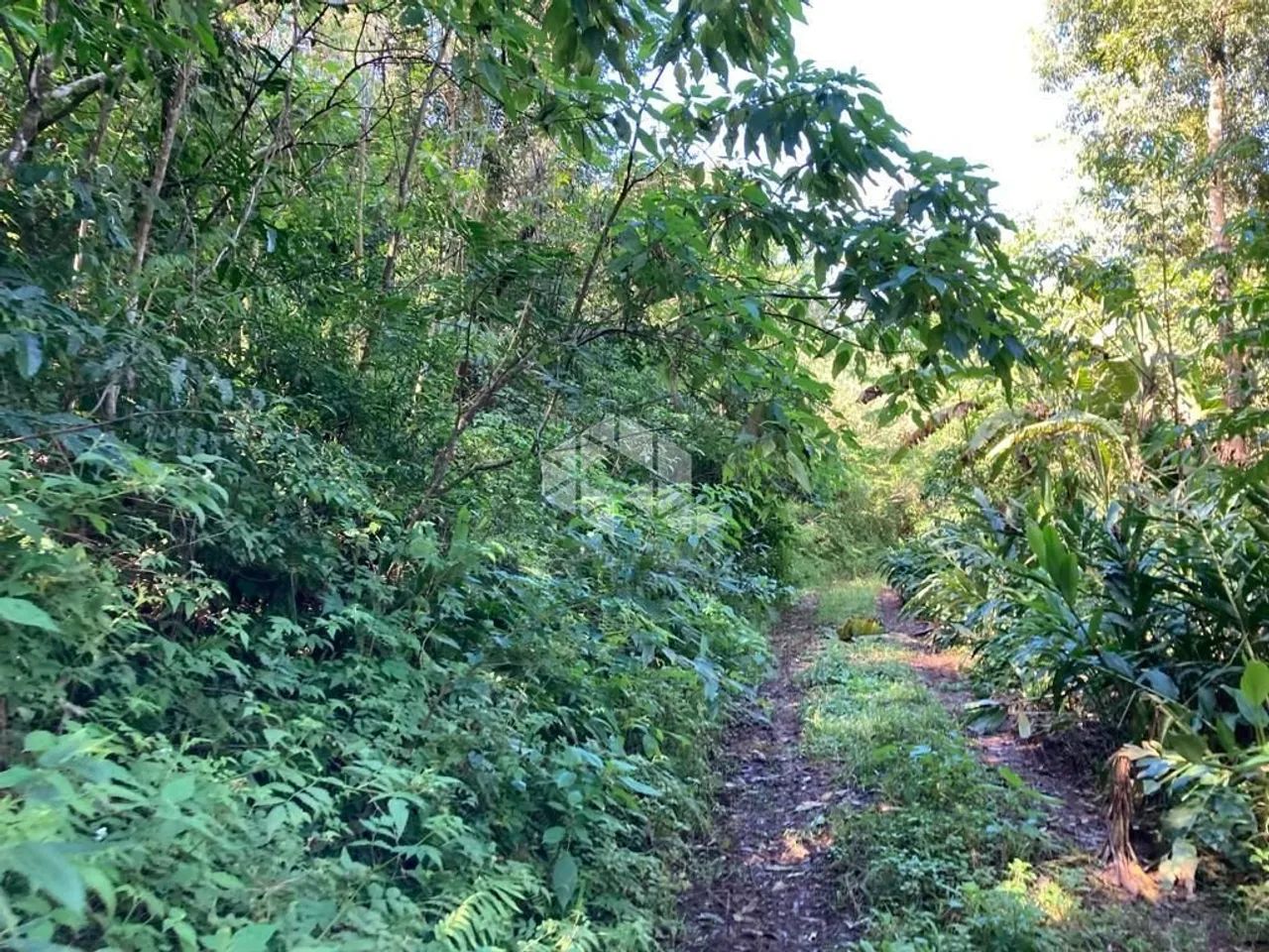 Área para cultivo
