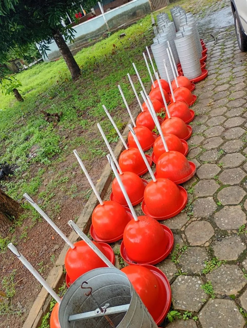 Comedouro e bebedouro - Foto 2