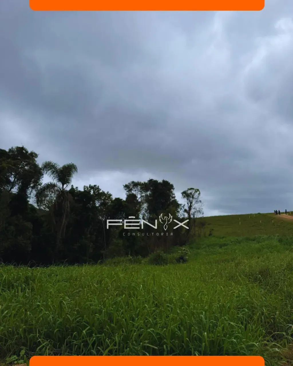 Terreno em Cotia parcelado no boleto - Foto 4