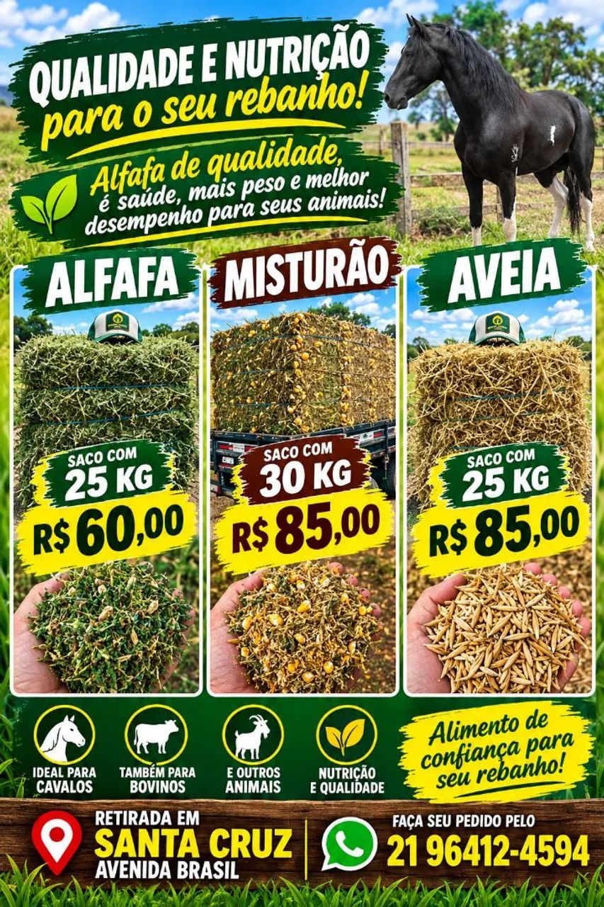 Alfafa aveia rações  - Foto 4