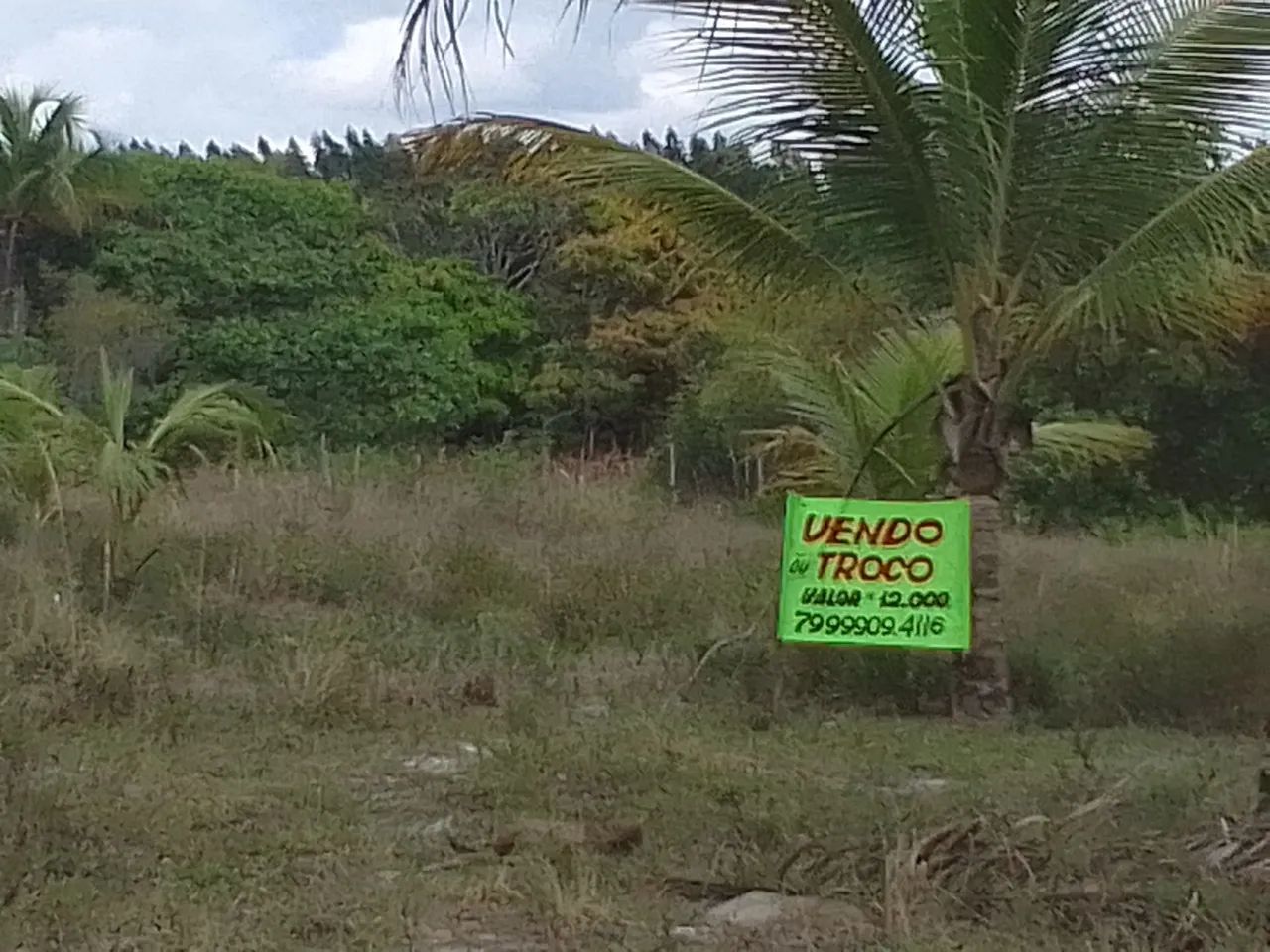 Terreno na sapocaia povoado de Japaratuba  - Foto 4