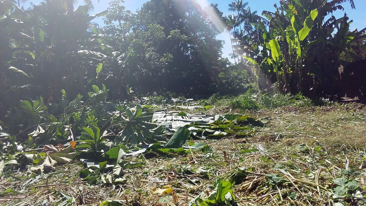Vendo terreno em quatipuru  - Foto 3
