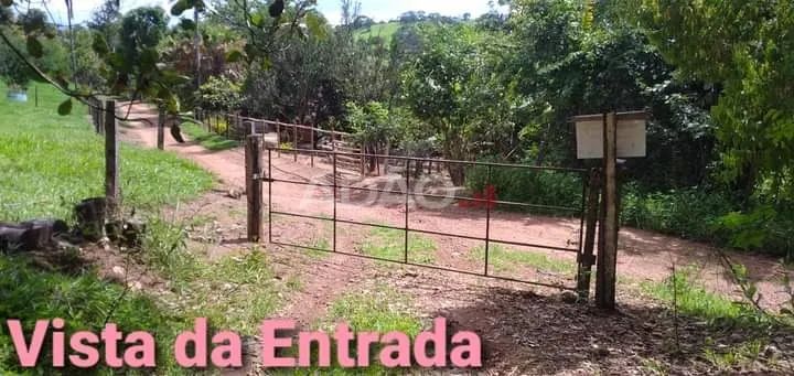 CHACARA PROXIMA A NOVA VENEZA - Foto 5