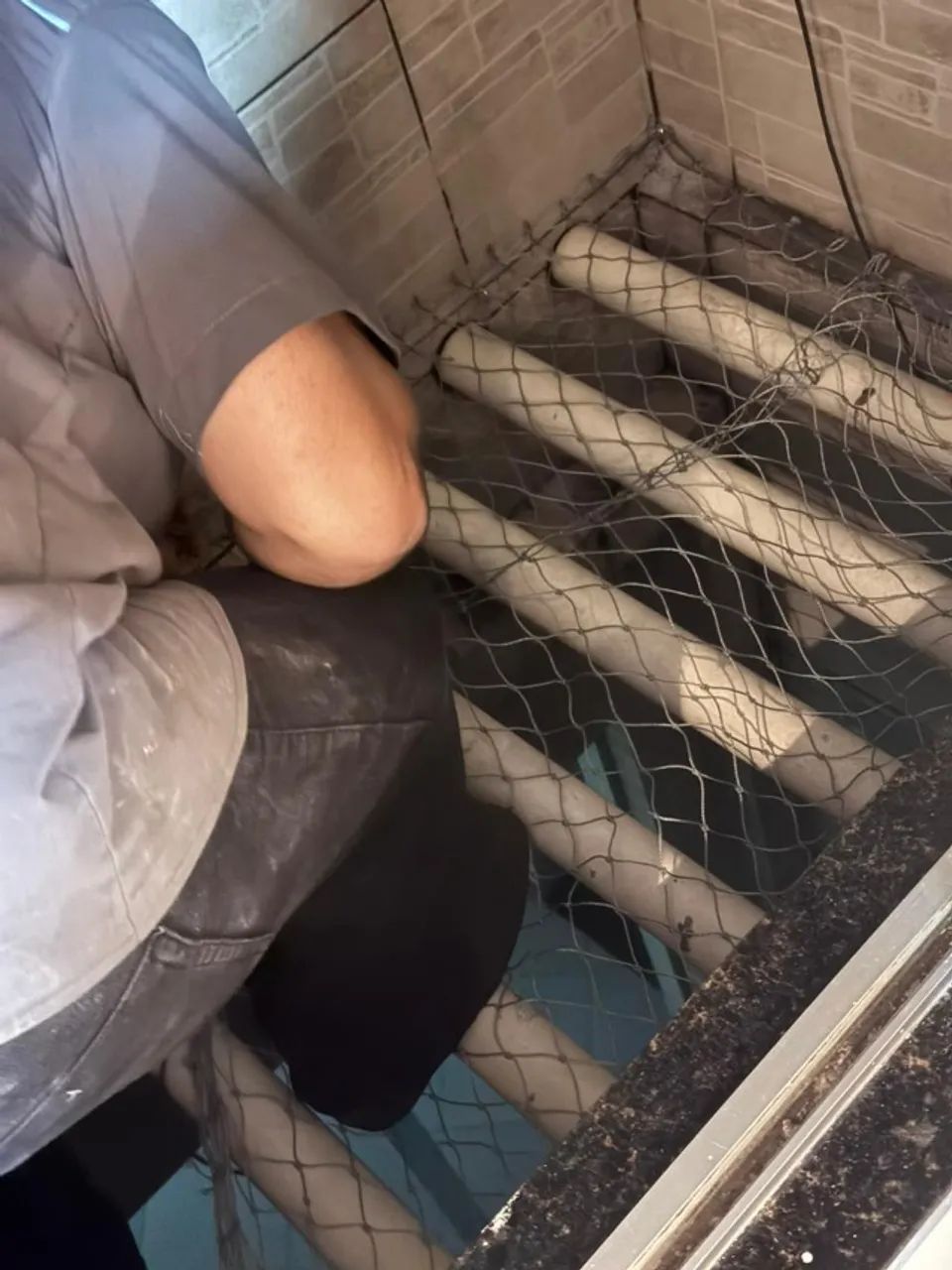 TELA DE PROTEÇÃO - Foto 3