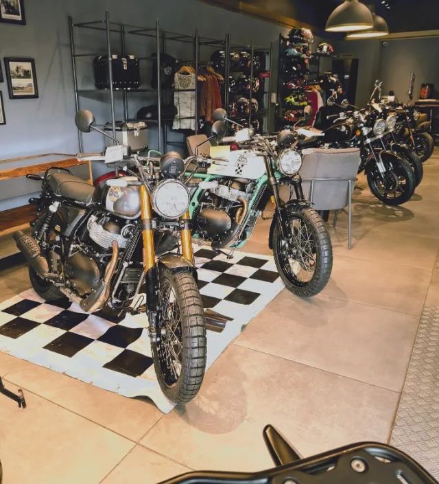 BEAR 650 - Foto 5