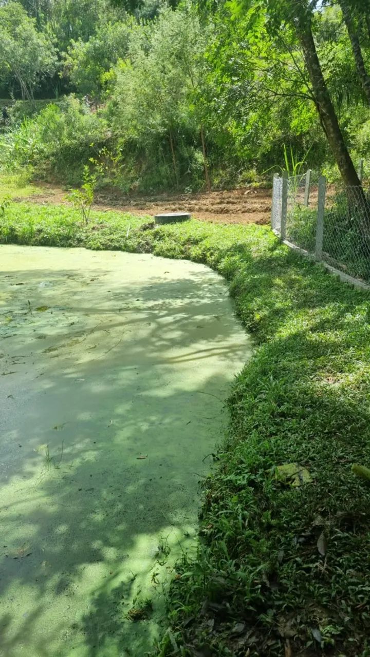 CHÁCARA À VENDA - EXCELENTE OPORTUNIDADE  - Foto 5