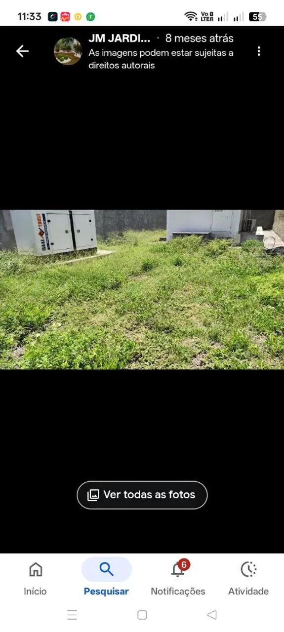 Jardinagem JM - Foto 5