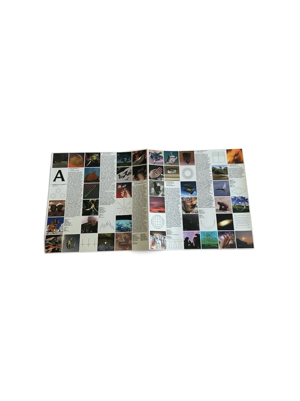 Lp Planet Hemp - Jardineiros - Foto 5