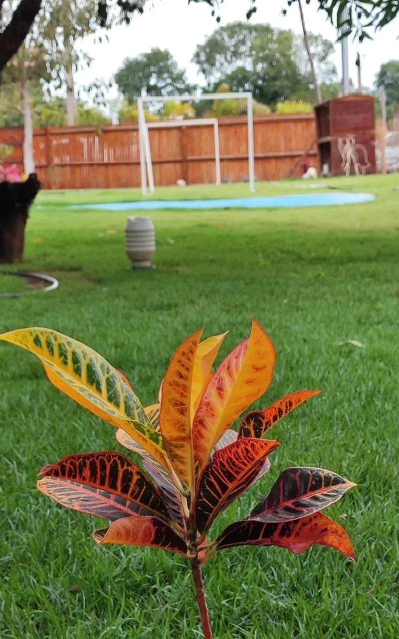 Rancho praia rica. Uruana rio uru.  - Foto 3