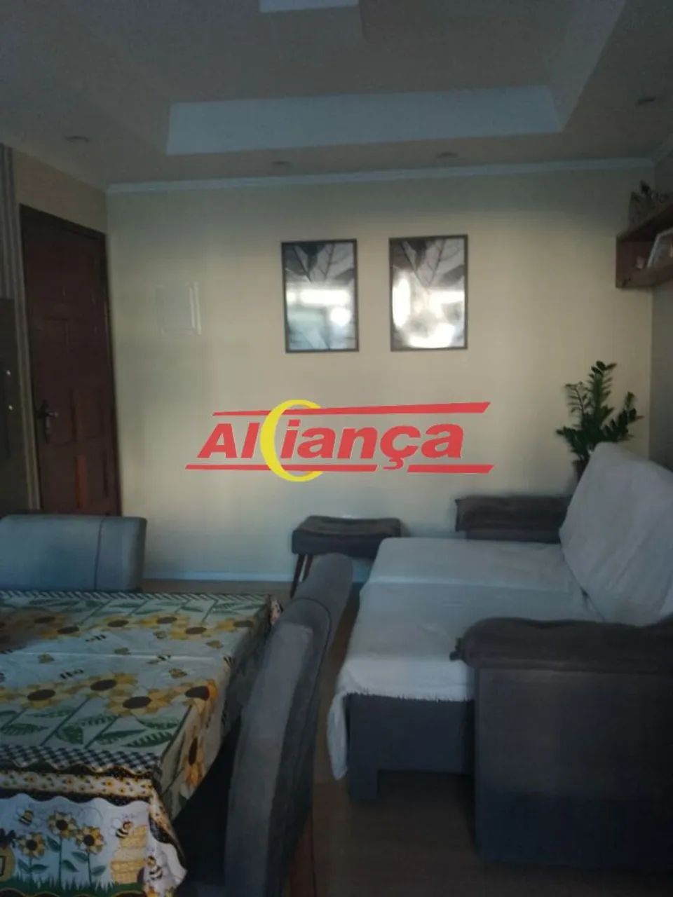 GAIVOTA PRETA - OPORTUNIDADE - Foto 3