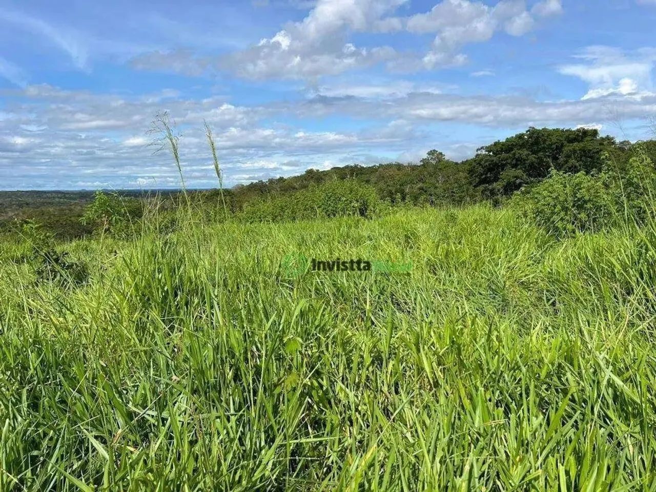Fazenda de 264 alqueires com aptidão agrícola em Dois Irmãos Tocantins - Foto 3