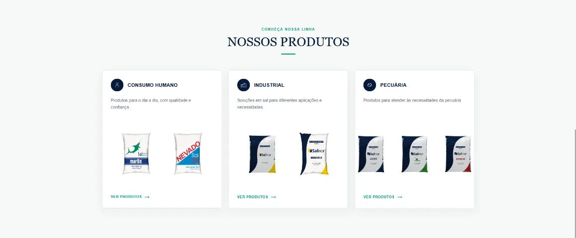 CRIAÇÃO DE SITE INSTITUCIONAL PARA EMPRESAS - Foto 2