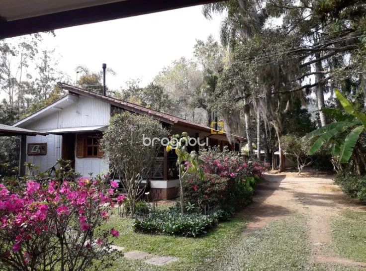 Sitio em Ratones - Foto 2