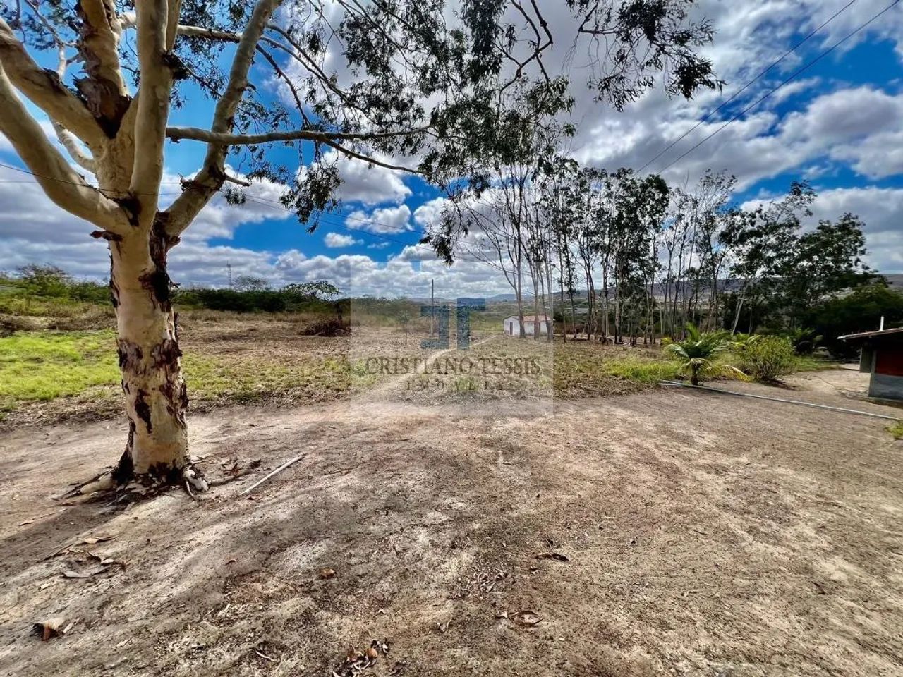 Fazenda Santa Zélia - Foto 5