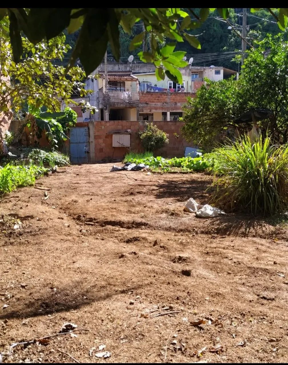 Terreno 