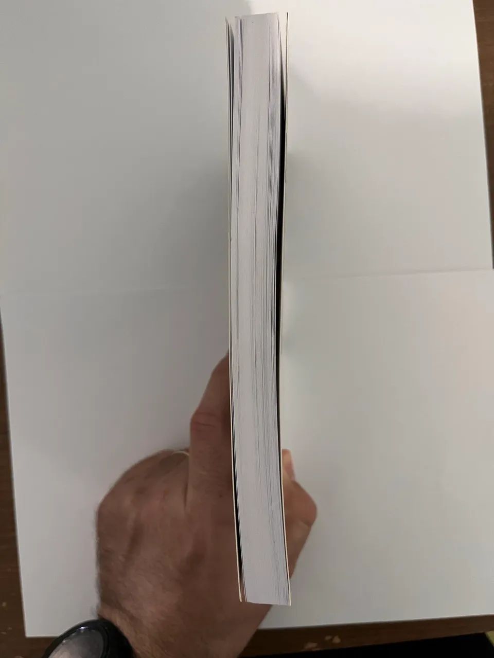 Mangá Berserk Volume 1 - Foto 2