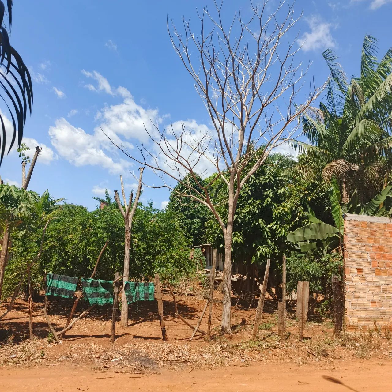 Vende-se lote  - Foto 3