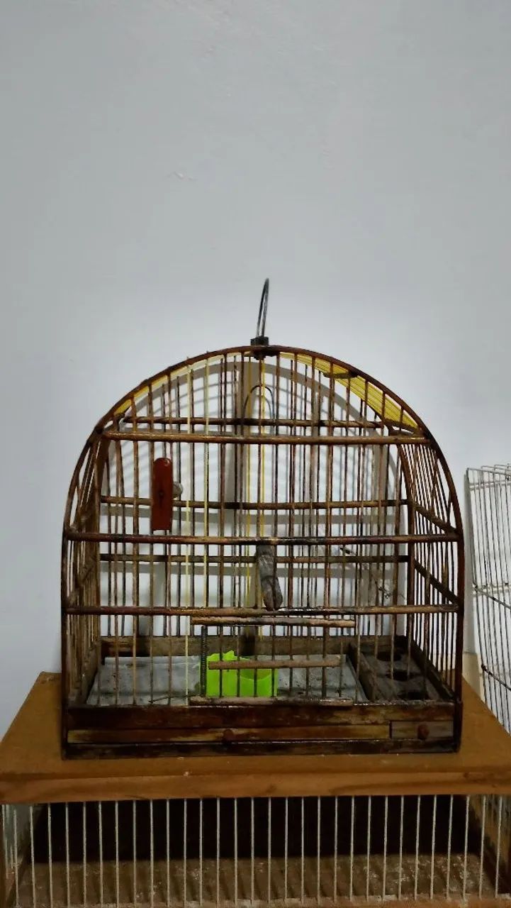 Gaiolas  - Foto 4