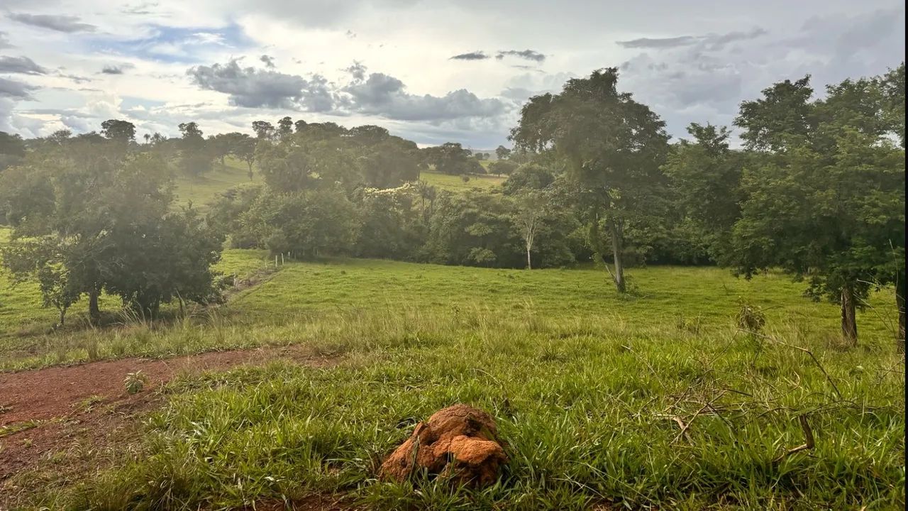 Fazenda extra - Foto 3