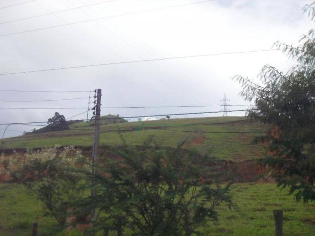 Área corporativa à venda, Vargem Grande, Teresópolis. - Foto 9