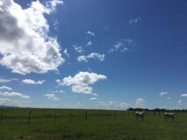 Fazenda Dupla Aptidão em Jangada - Foto 2