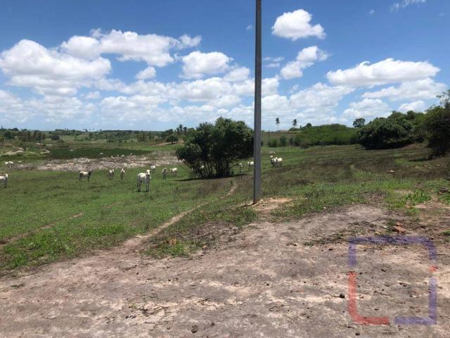Fazenda com 3 dormitórios à venda, 530000 m² por R$ 1.400.000 - Centro - Curral de Cima/PB - Foto 20