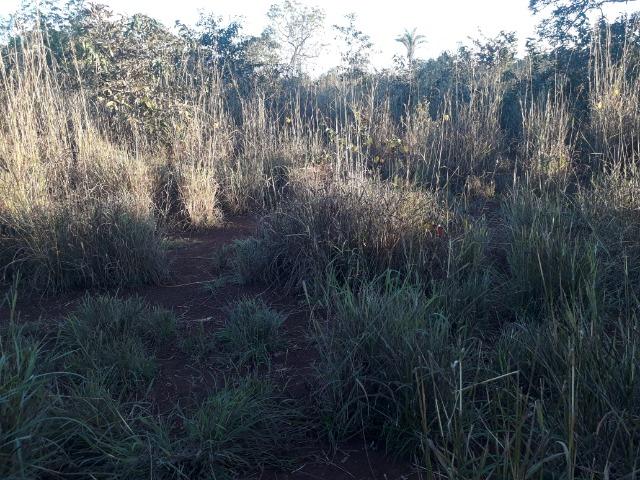 Chácara muito boa a 9 km de Acorizal - Foto 20