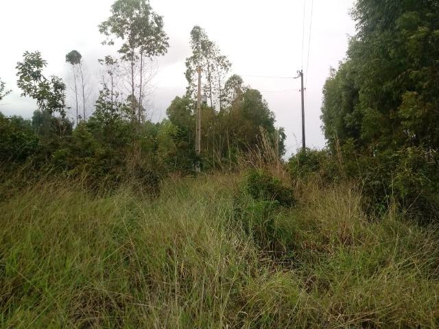 Chácara 2,5 alqueires mun Abadiânia - Foto 5