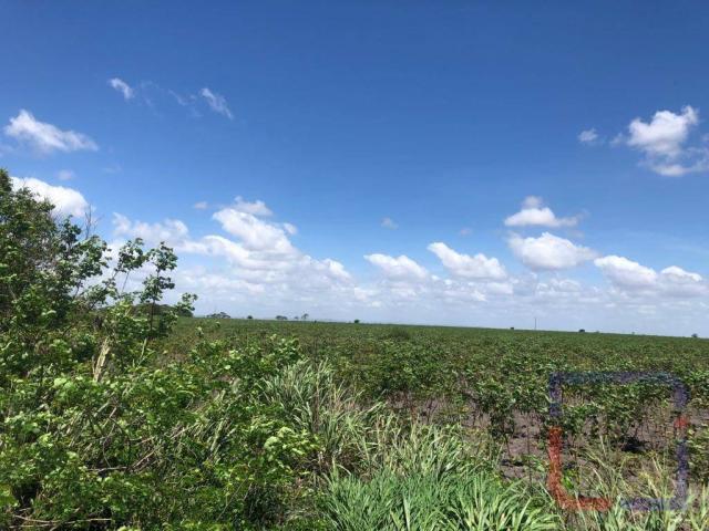 Fazenda com 3 dormitórios à venda, 530000 m² por R$ 1.400.000 - Centro - Curral de Cima/PB - Foto 3