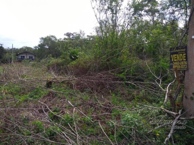 Terreno à venda, 360 m² por r$ 45.000 - vila das palmeiras - morretes/pr - Foto 4