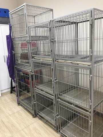Vende-se petshop completo - Foto 6