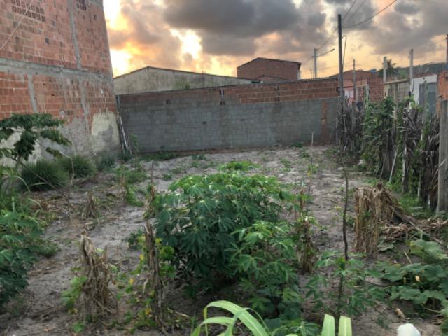 Terreno top na praia de Peroba-AL 9.60x16.0 - Foto 6