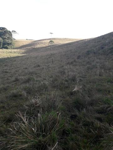 Para você que procura descanso e tranquilidade junto as belezas da serra gaucha - Foto 2