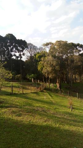 Chacara - Almirante Tamandaré - Foto 2