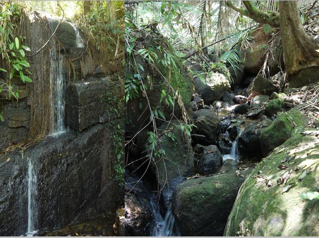 Pousada ecológica fechada Ubatuba / Caraguatatuba - Foto 5
