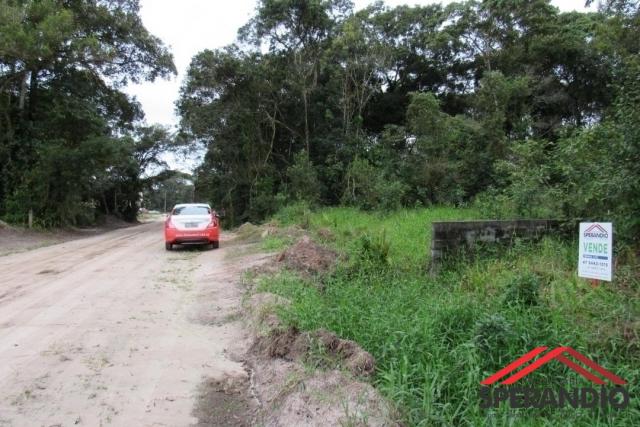 Terreno c/ 360m² (15x24m), na rua 1340, baln. itapoá - Foto 3