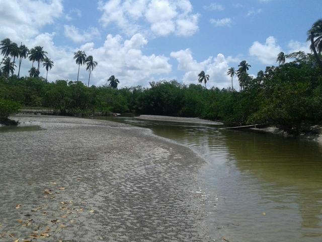 Área Beira Mar em Ipioca AL - Foto 3