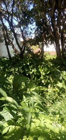 Terreno em Porto- Área urbana! Super oportunidade!! - Foto 6