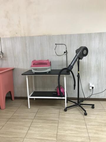 Vende-se petshop completo - Foto 4