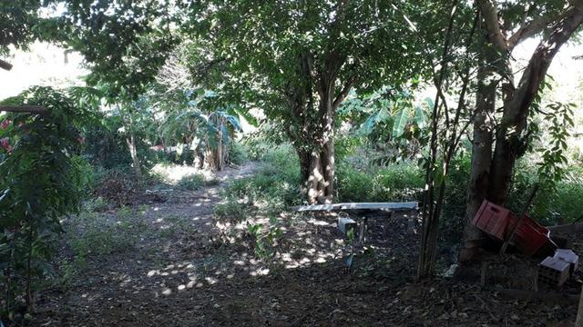 (R$160.000) Chácara c/ 5.320m² no Recanto dos Sonhos - Foto 7