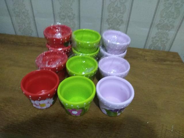 12 vasinhos de violeta g cores diversas - Foto 2