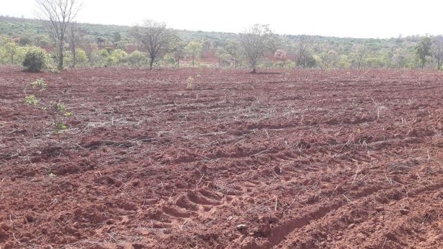 Excelente fazenda dupla aptidão - Foto 15