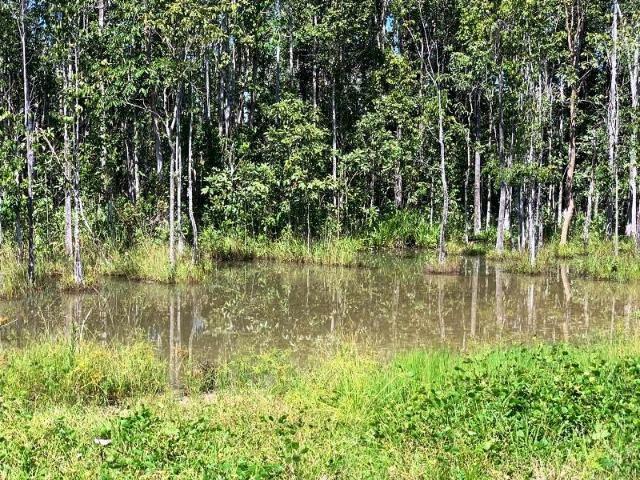 300 Alqs Formada Montada e Estruturada Banhada Por Rio Jussara GO - Foto 20