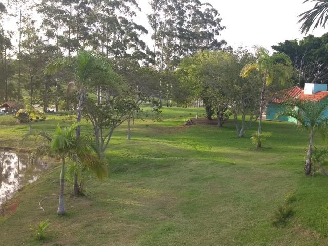 Vende-se Chácara a Beira da Represa em Carlópolis PR - Foto 19