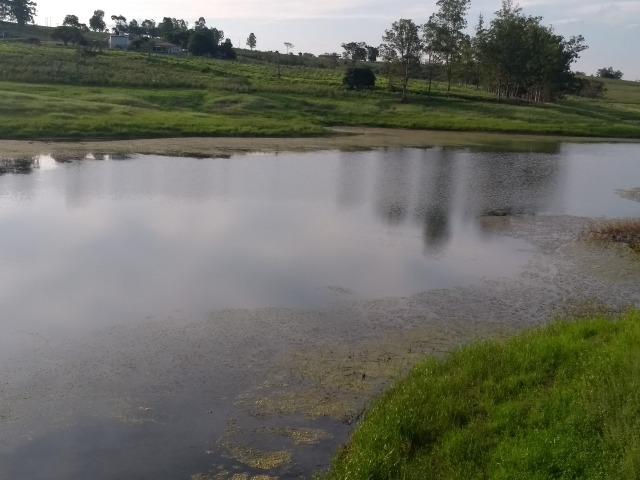 Vende-se Chácara a Beira da Represa em Carlópolis PR - Foto 8