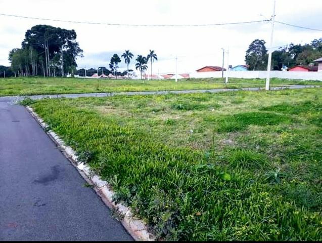Terreno em Curitiba parcelado. Documentos OK - Foto 2