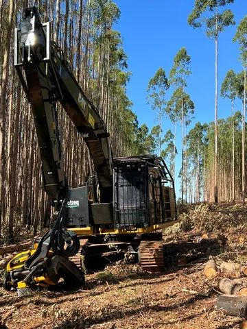 Escavadeira CAT320 com Cabeçote Harvester