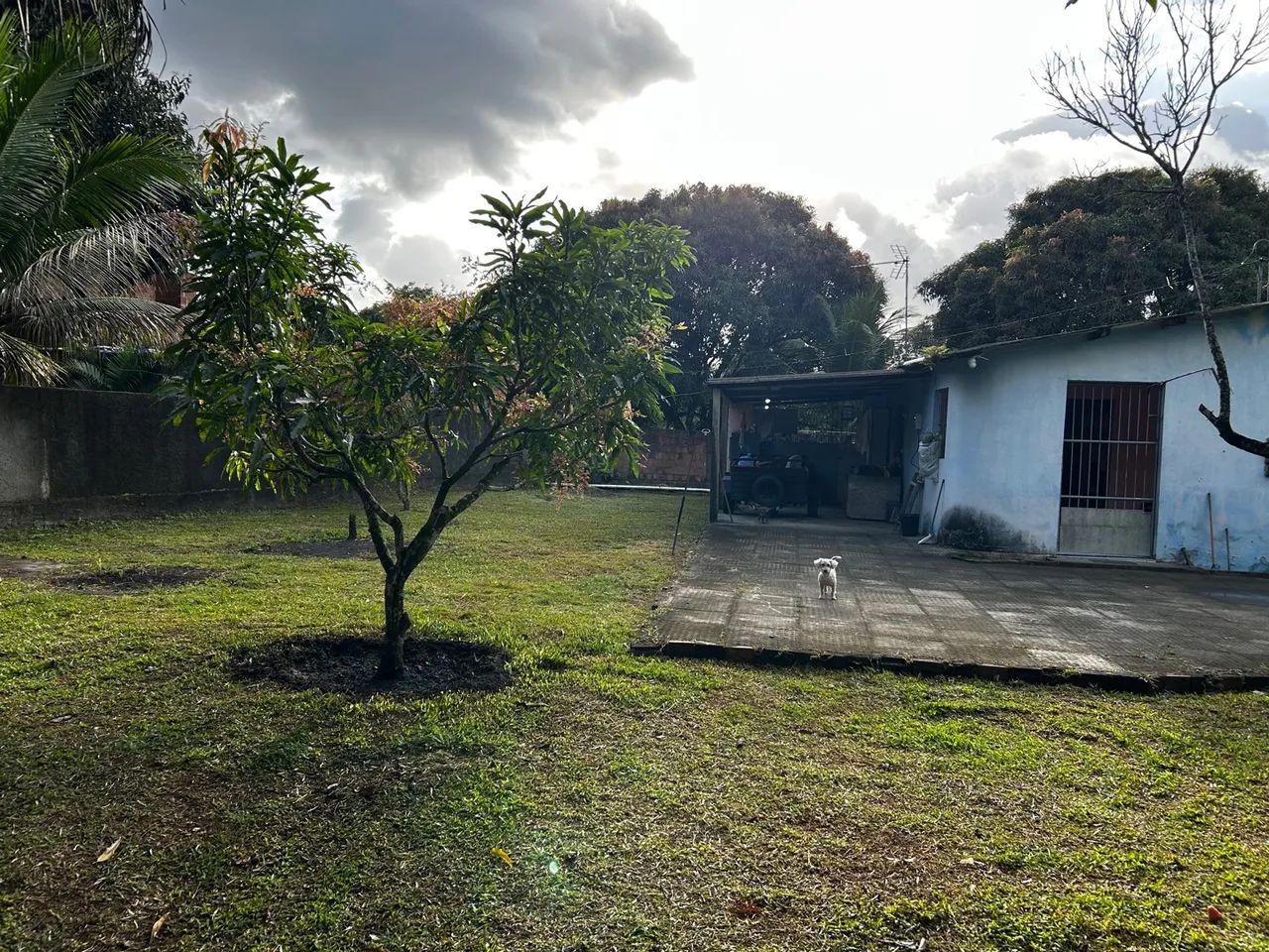 CHÁCARA EM JABOATÃO DOS GUARAPES PARA VENDER  - Foto 5