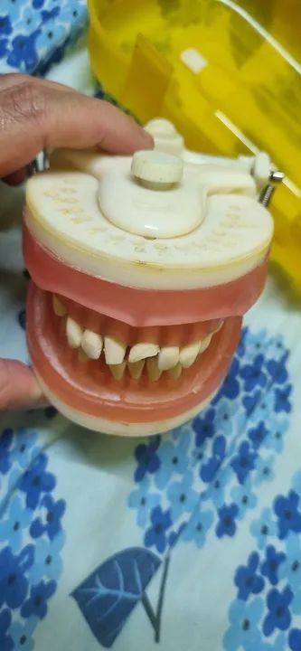 Manequim Odontologico PRONEW - Foto 3