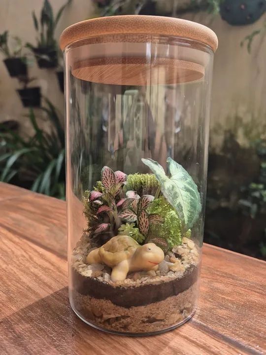 Jardim de Vidro - Miniatura Criativa - Foto 4